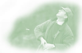 Aves altas impulsadas en Escocia